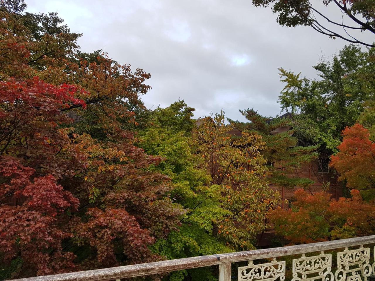 White House Hotel Sokcho Eksteriør billede